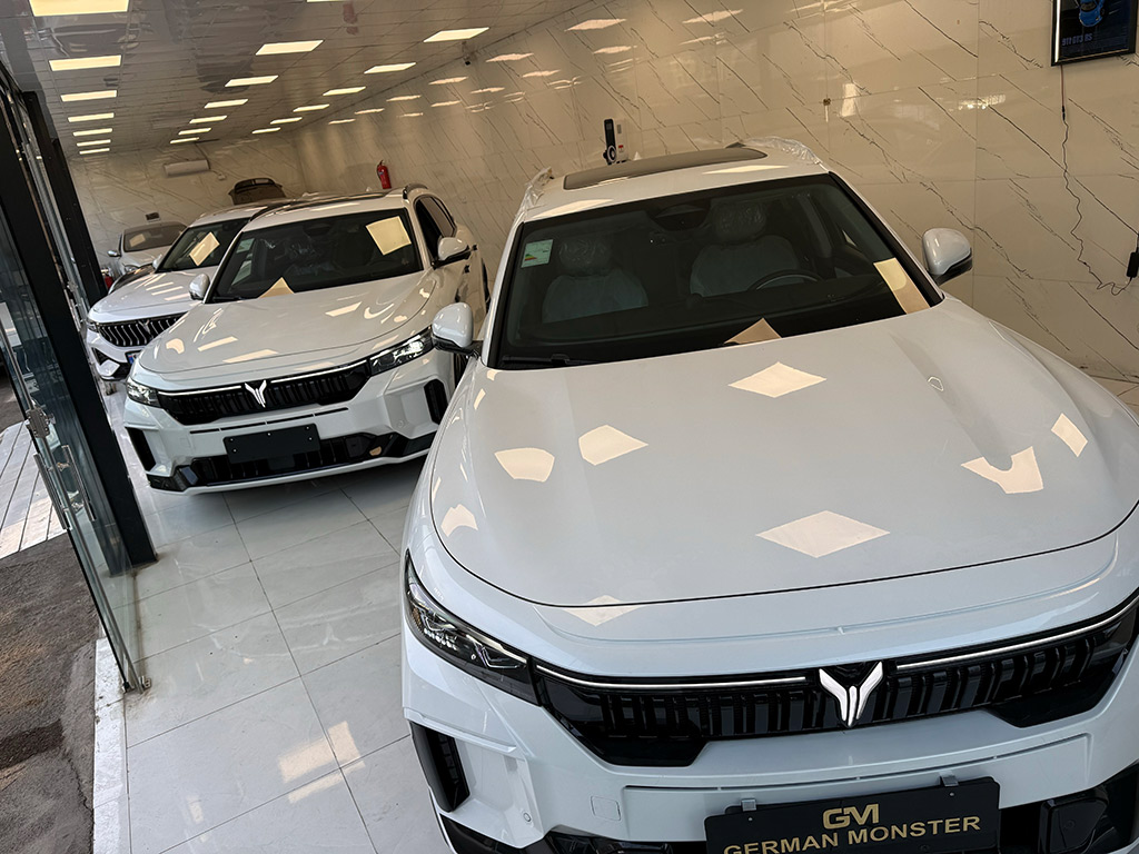 فروش اقساطی وویا فری