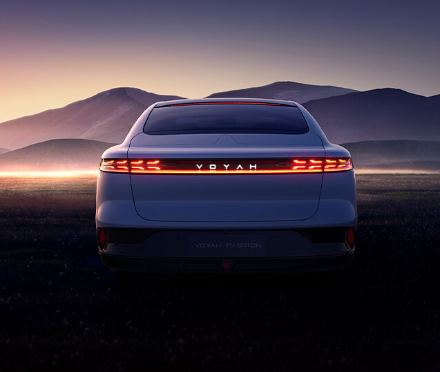 فروش وویا پشن