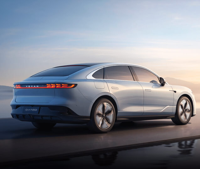 قیمت وویا پشن